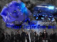 >>13EYOND YOUR IMAGINATION<<SJ