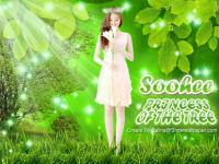 Sohee : Princess of the tree
