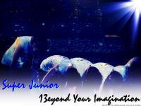 SJ 13eyond Your Imagination