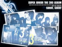 Super Junior The 3rd Album : Sorry, Sorry