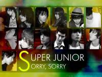 Super Junior - SORRY SORRY