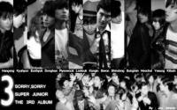 SORRY,SORRY - SUPER JUNIOR