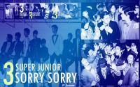 SJ 3rd Album