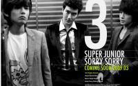 SORRY,SORRY   SUPER JUNIOR 1