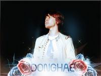 DONGHAE