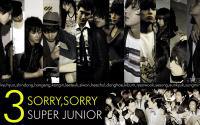 SUPER JUNIOR ; SORRT SORRY
