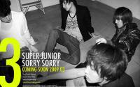 SORRY,SORRY SUPER JUNIOR 3