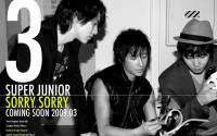 SORRY,SORRY SUPER JUNIOR 4