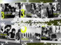 SORRY,SORRY - SUPER JUNIOR THE 3RD ALBUM