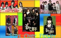 boys over flower