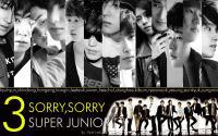 SORRY SORRY - SUPER 