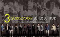 SORRY SORRY - SUPER JUNIOR THE 3rd ALBUM