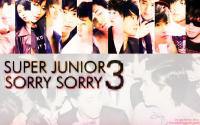 SUPER JUNIOR The 3rd Album