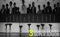 SUJU SORRYSORRY 3