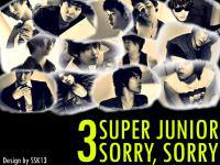 3RD Super Junior Part 1