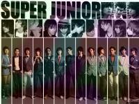 SUPER JUNIOR 3RD