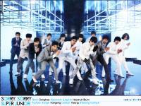 SUPER JUNIOR : SORRY, SORRY