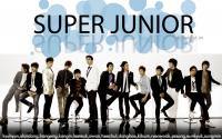 SUPER JUNIOR - SORRT SORRY