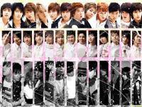 Super Junior 