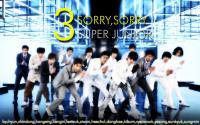 SORRY ,SORRY - SUJU