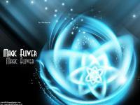 Magic Flower