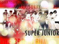 Super Junior - Sorry, Sorry