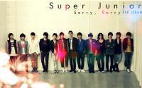 Suju : sorry sorry