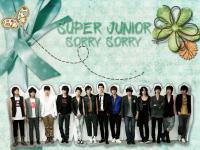 SUPER JUNIOR 'SORRY SORRY