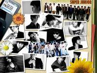 Super Junior The 3rd Album