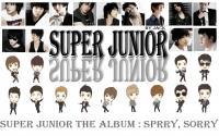 SUPER JUNIOR - CARTOON