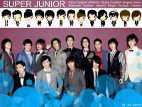 Super Junior In Sorry