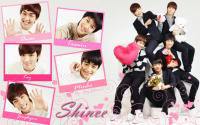 shinee