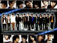 Super junior : Sorry Sorry