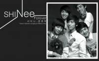 Shinee Forever