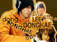 donghae..<orange>