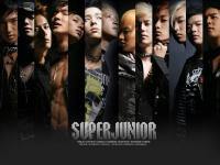 super junior don't don