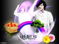 Imagination - Lee Min Ho