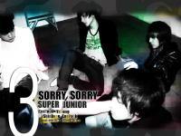 Super Sorry