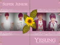 Super Junior Yesung