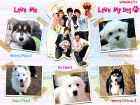 TVXQ Love Me Love My Dogs