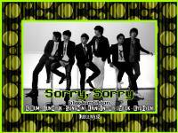 SUJU: Sorry, Sorry (black edition)