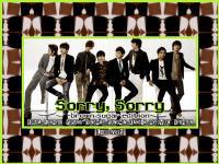 SUJU: Sorry, Sorry (brown-sugar edition)