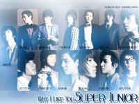 Why I Like You,Super Junior