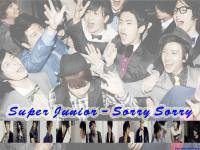 SJ - Sorry