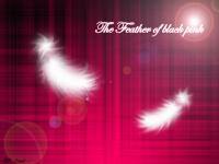 The Feather of Black Pink
