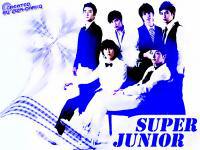Super junior :: Vol.1