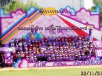 สีม่วง