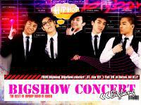Bigbang : Bigshow concert :: Special Wallpaper