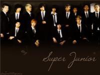 Super Junior in brown~
