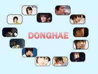 SJ::DONG HAE